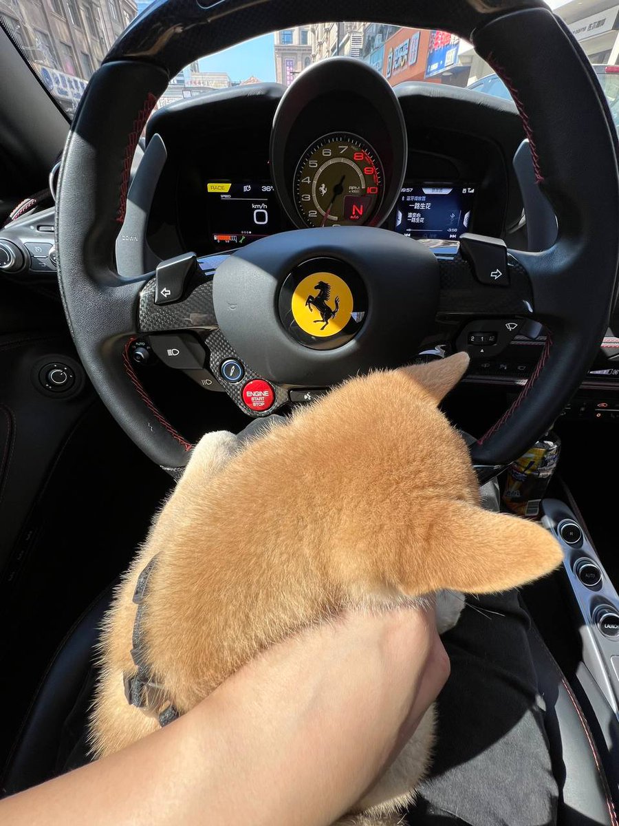 料理家トレーダー tweet media