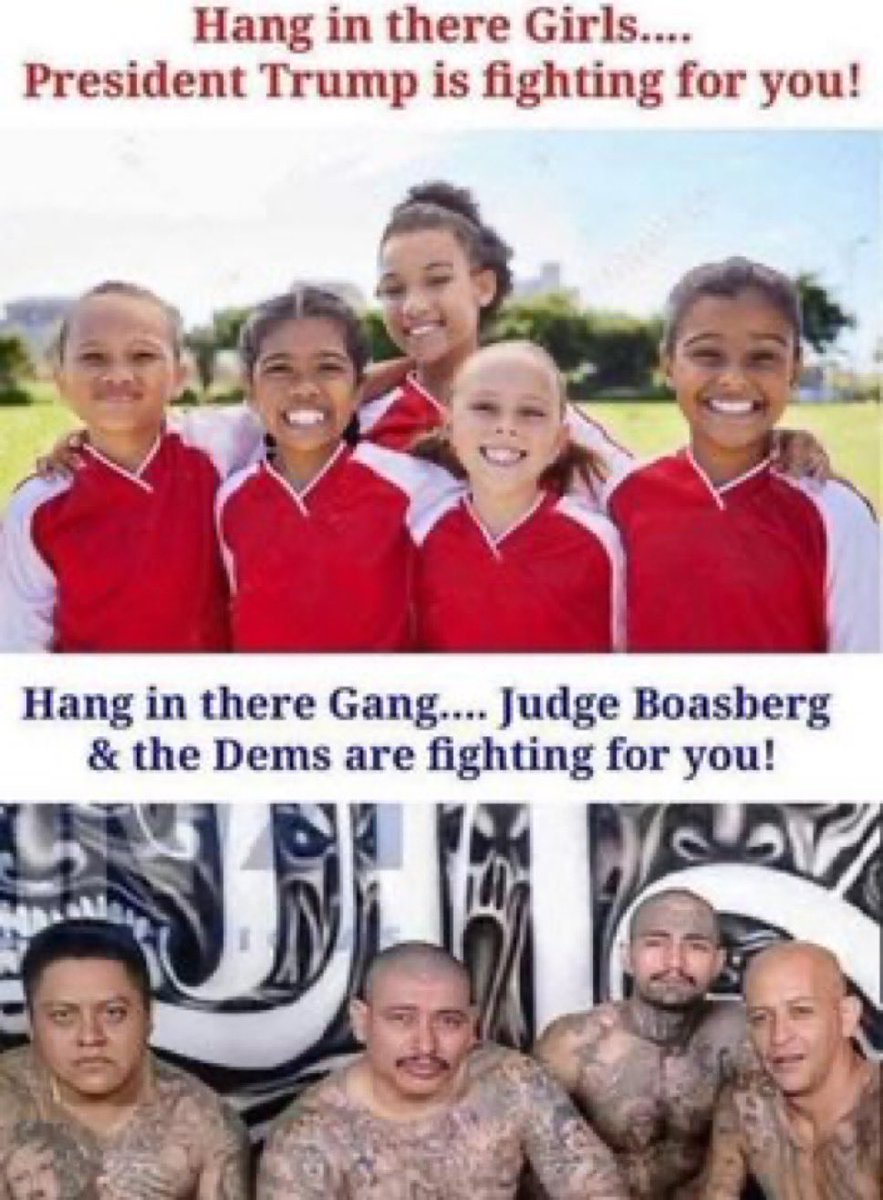 FastFreddy tweet media