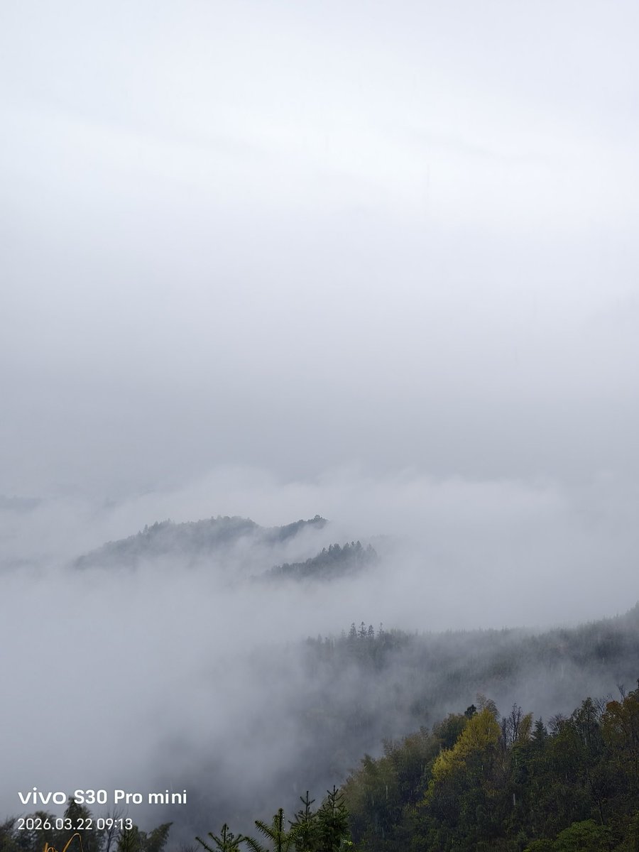 阿七杂货铺 tweet media