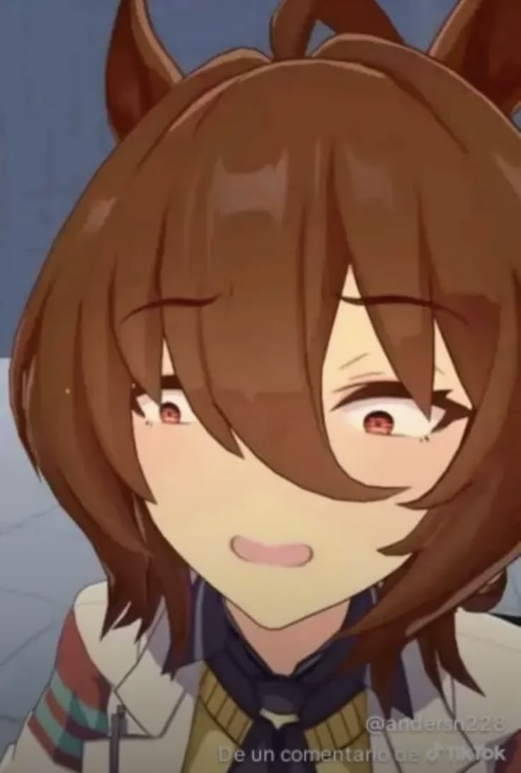 your local seagull (COMMISSIONS OPEN) tweet media