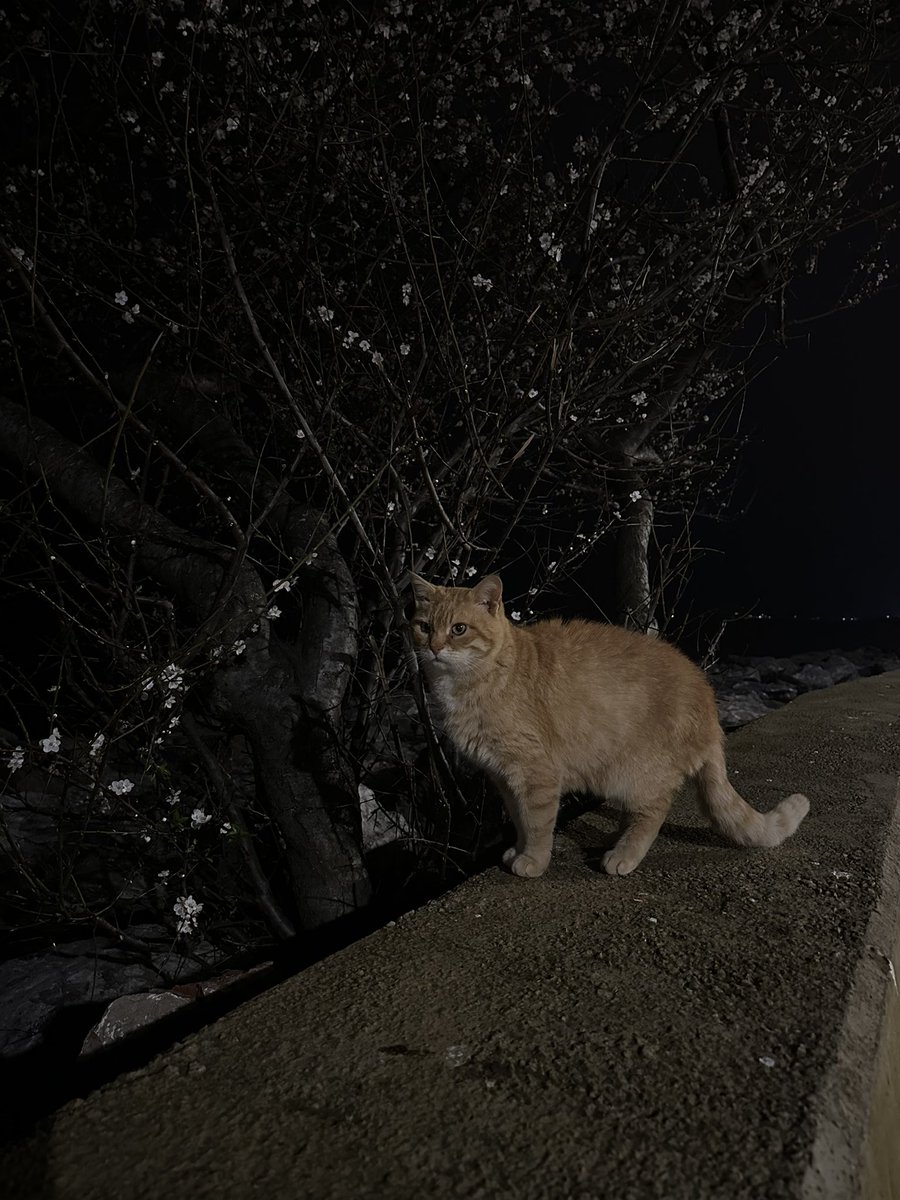 кетті ⤷ ˎˊ˗ tweet media