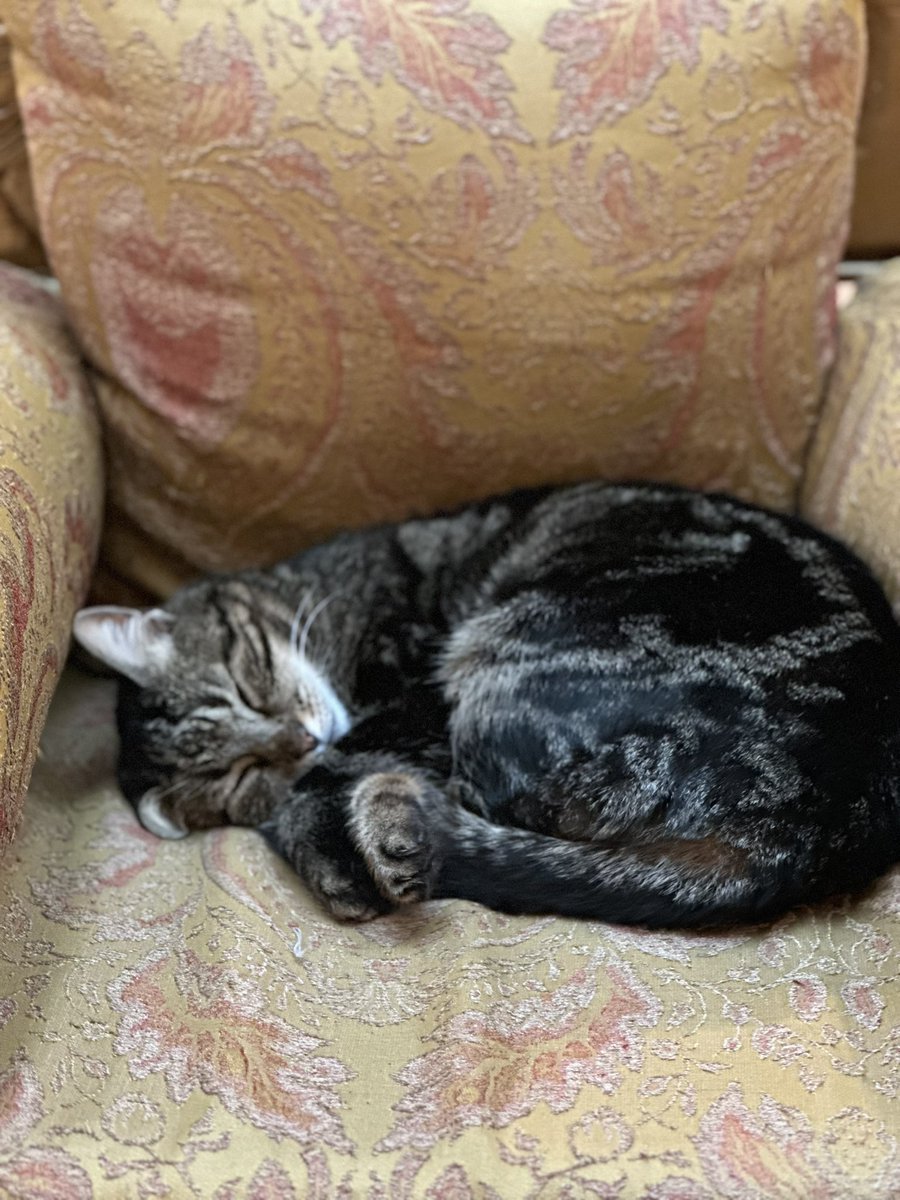 кетті ⤷ ˎˊ˗ tweet media