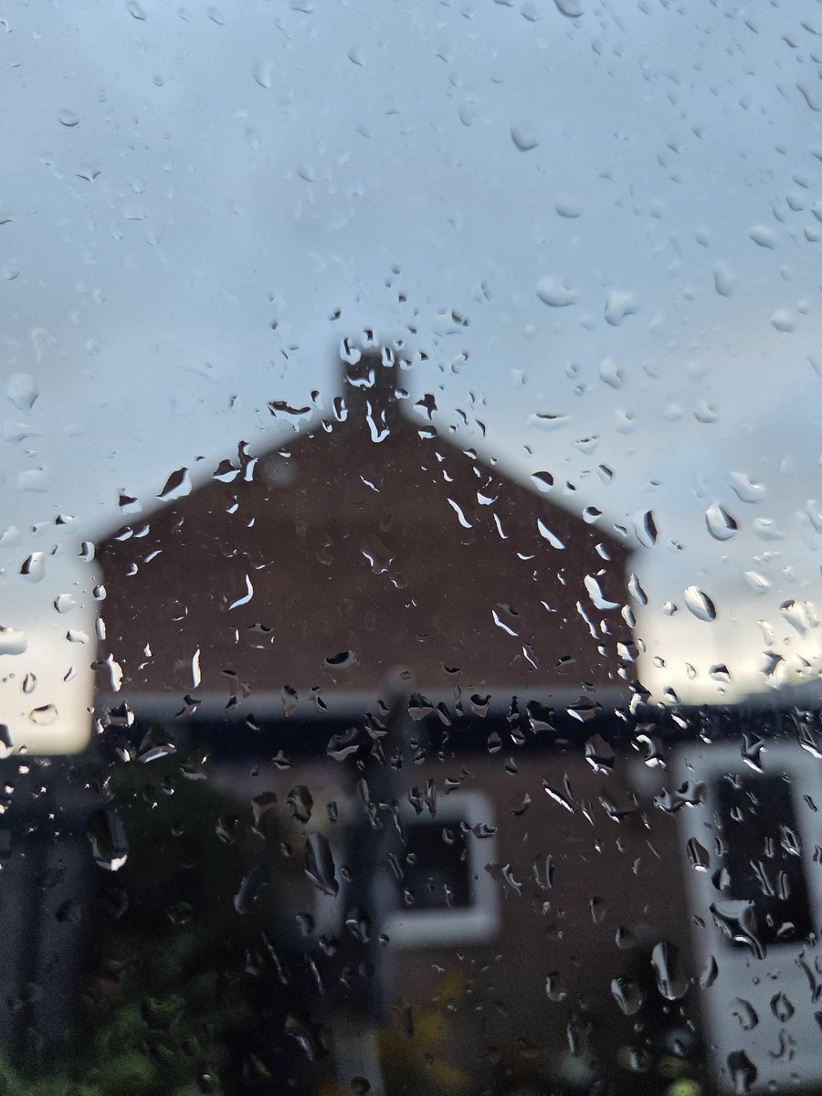 MyrthevanGestel's tweet image. Goedemorgen 🌳🌲

Regenbroek aan en gaan... hopelijk regent het niet al te lang en te vaak vandaag.

#woensdag #regen #rain