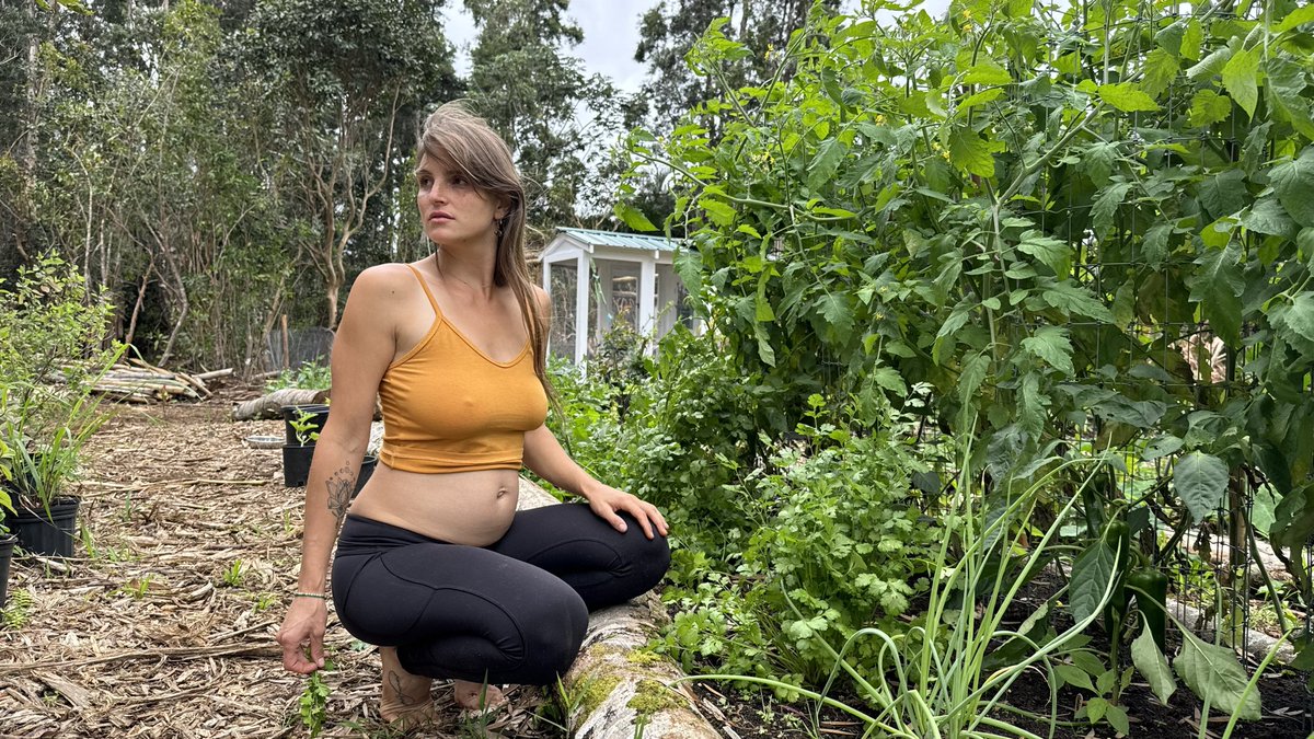 Nicolle Love tweet media