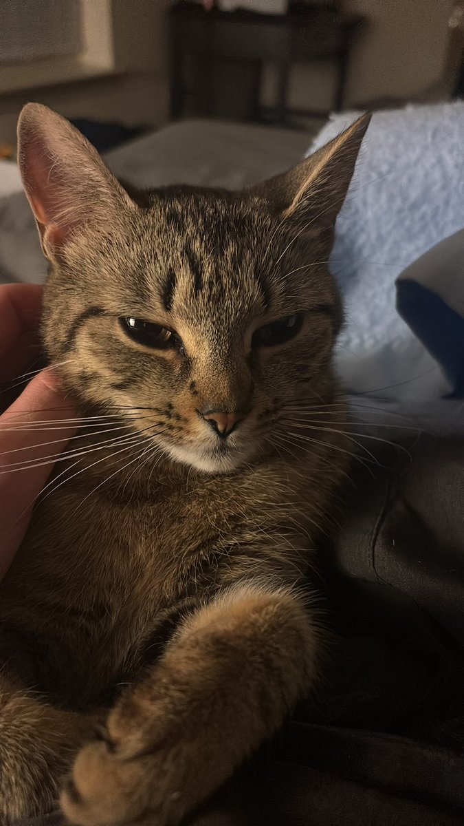 Brandon 🤠 tweet media