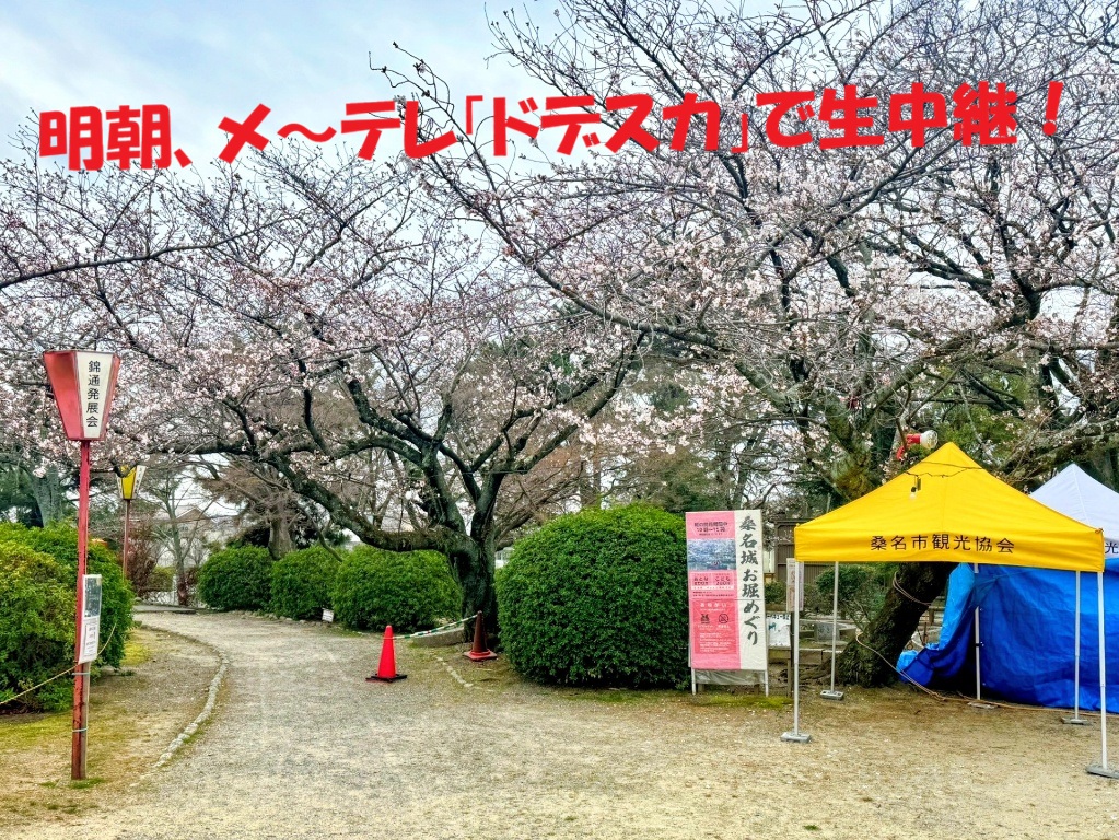 住吉浦休憩施設 tweet media