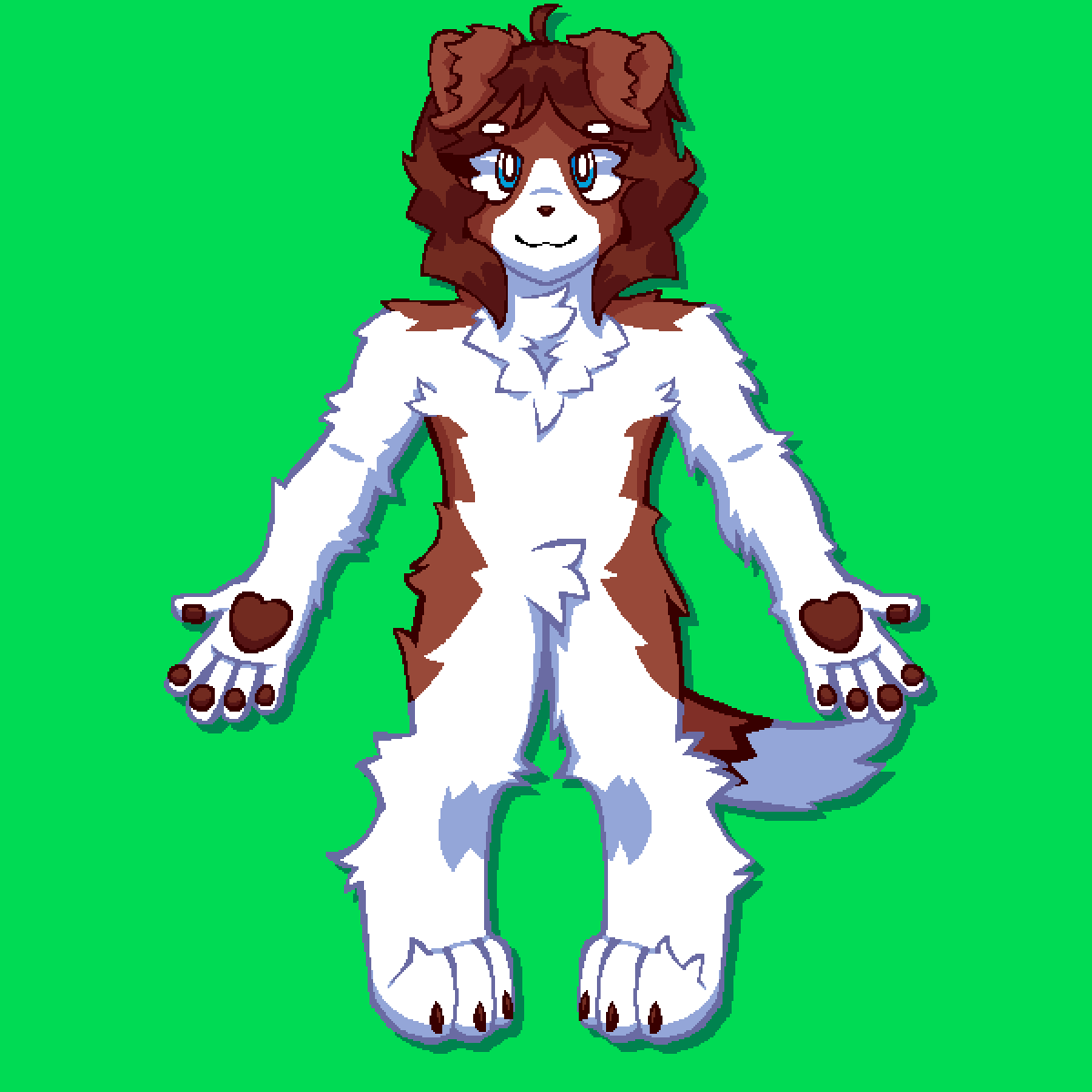 Chillidog 🌶️ tweet media