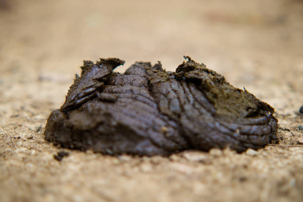 Alpha Mike 64 tweet media