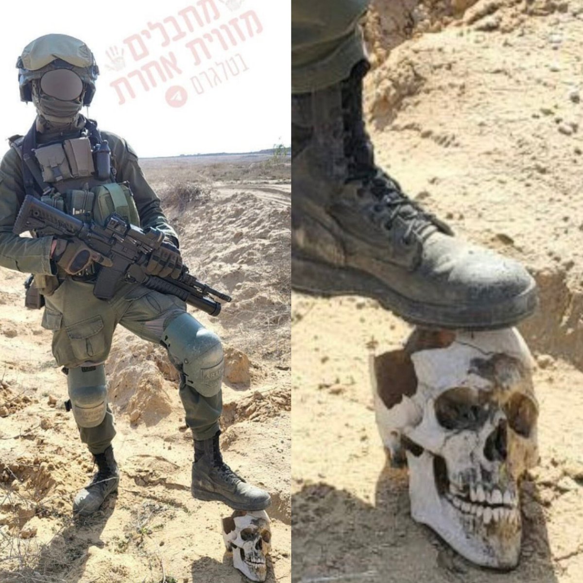 آزوف (جدید) tweet media