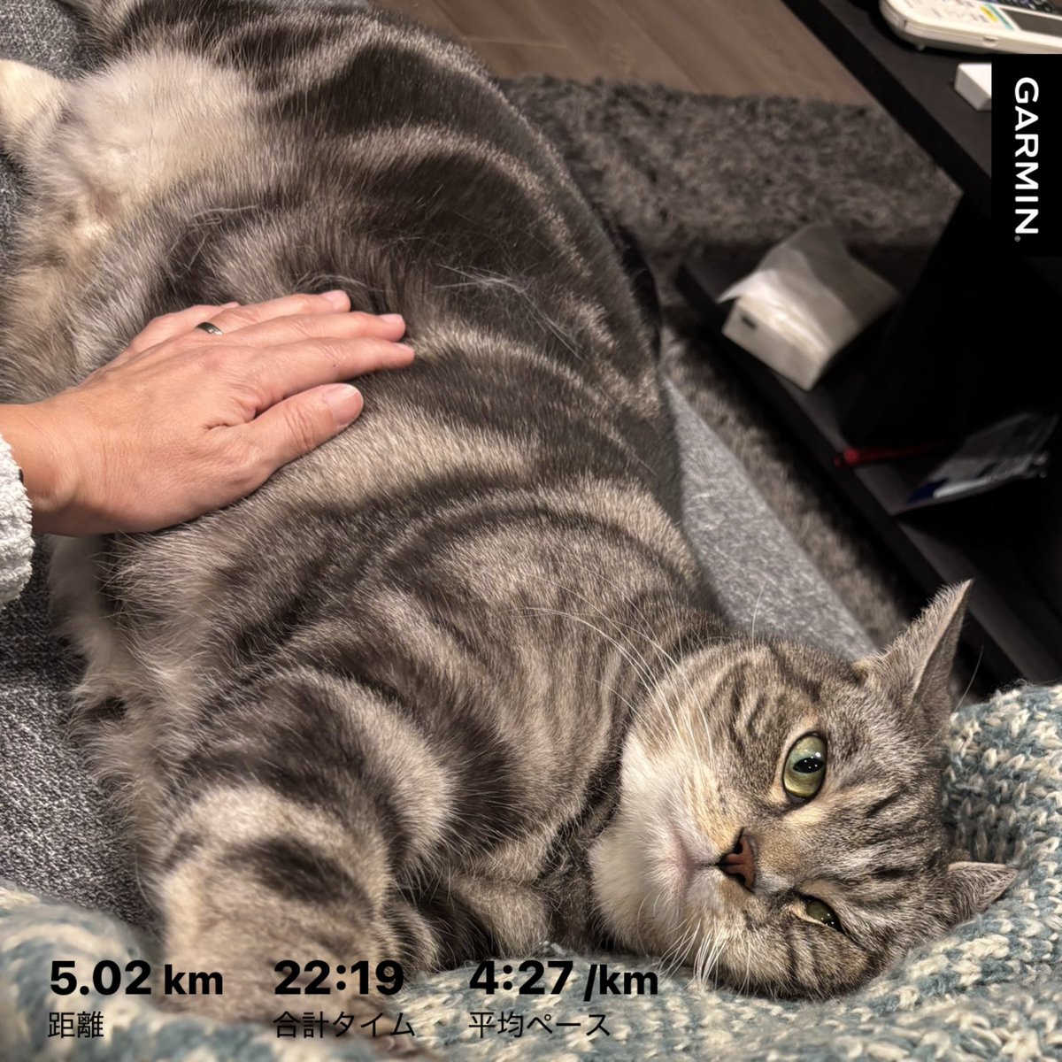 ぺ☆5%増量中 いだ天ウルトラ100k☆ tweet media