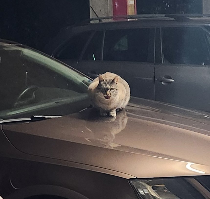 Loocha🌻 tweet media