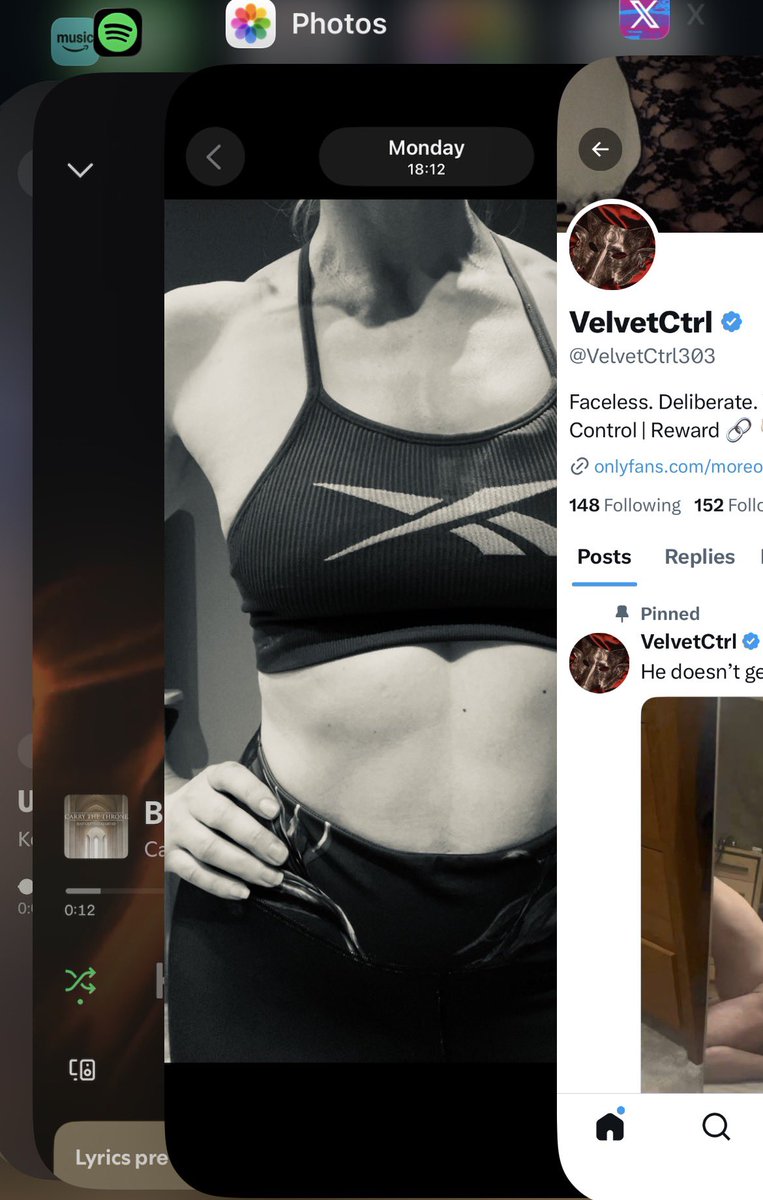 VelvetCtrl tweet media