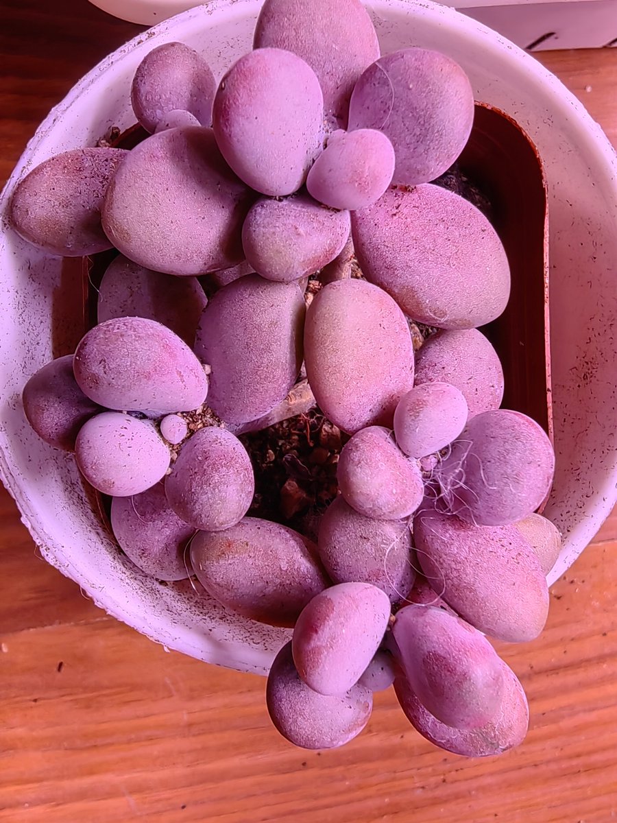 KimMurray tweet media