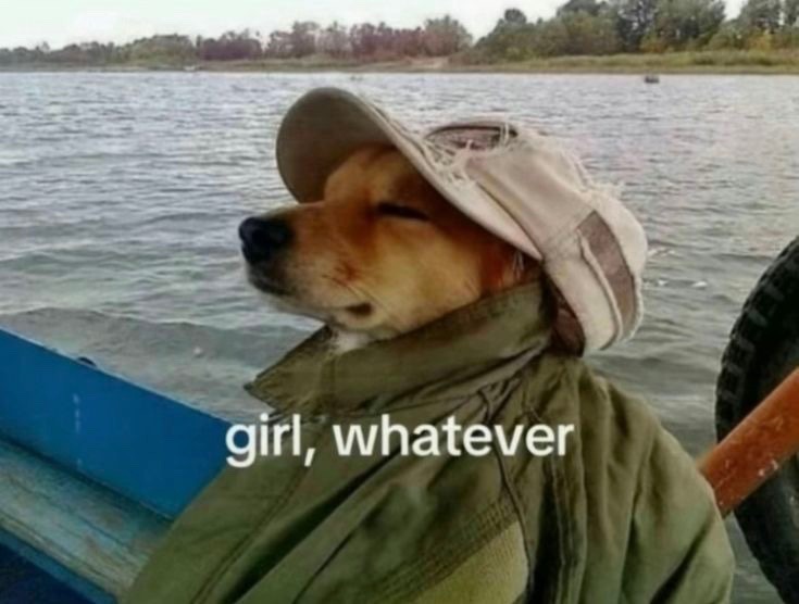 love drops tweet media