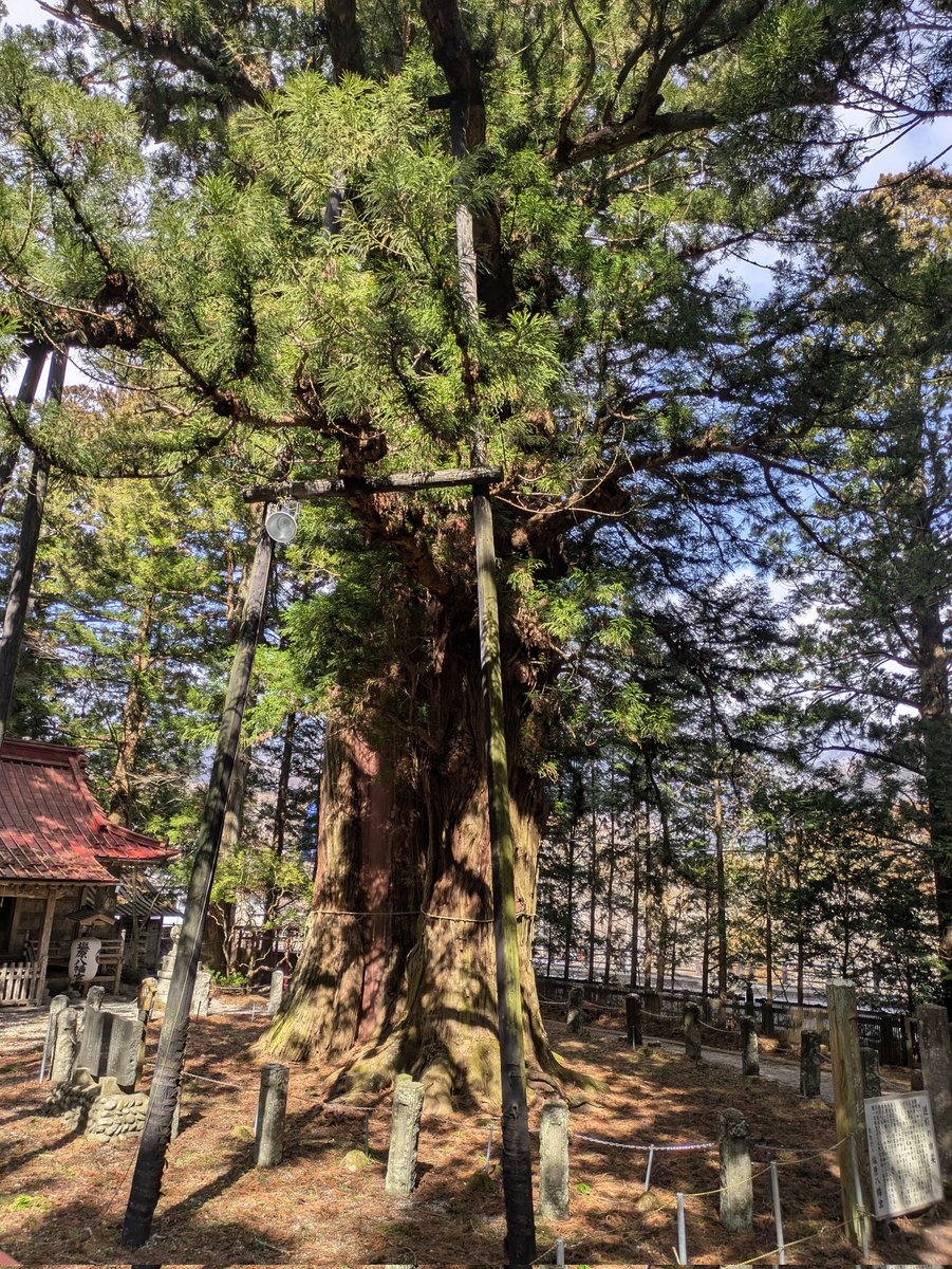 あるかなむ tweet media