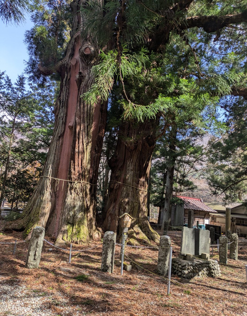 あるかなむ tweet media