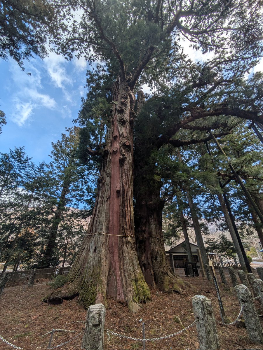 あるかなむ tweet media