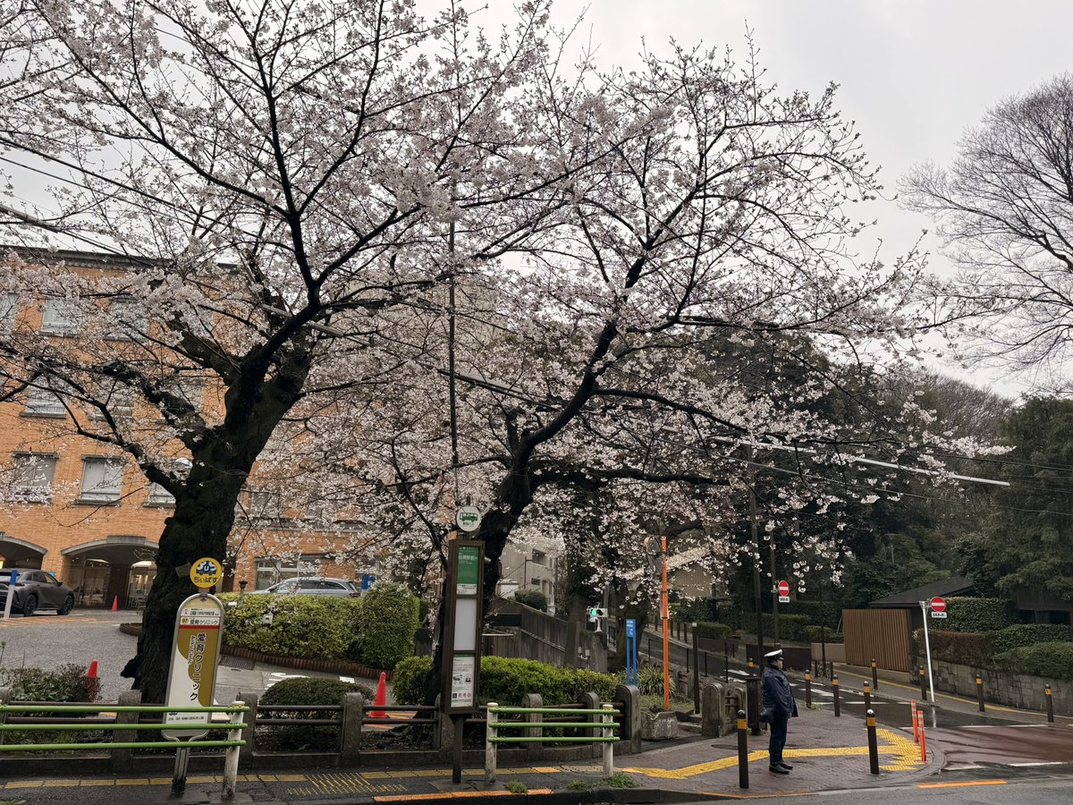 王局志安 tweet media