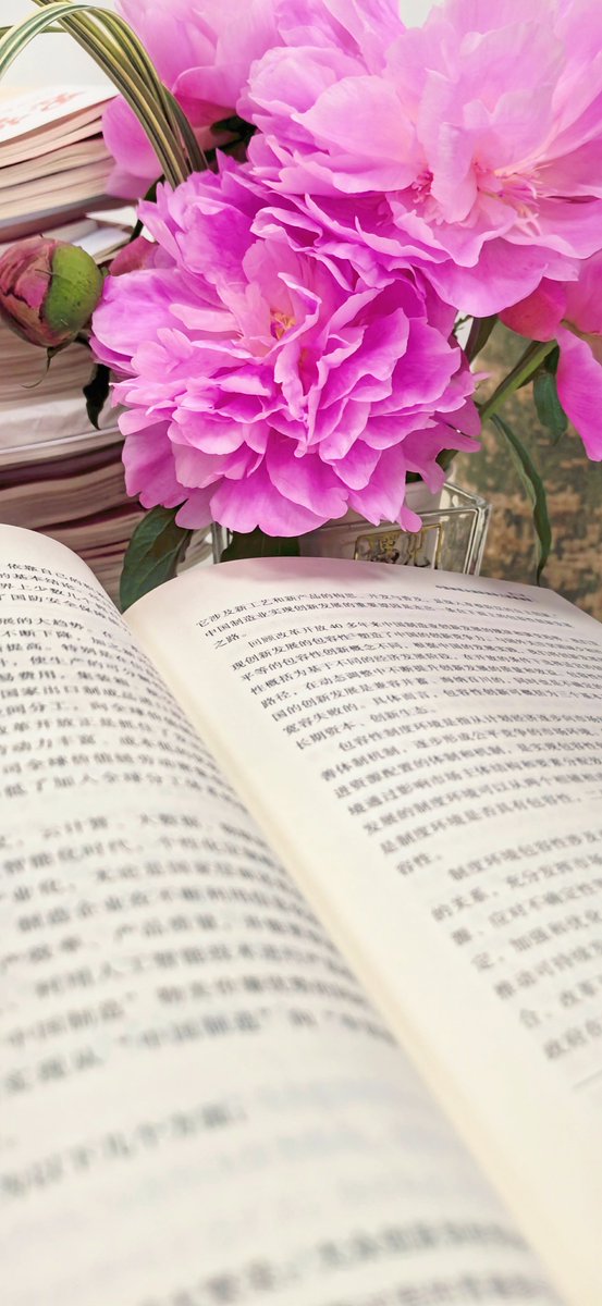 Divin gonzalez tweet media