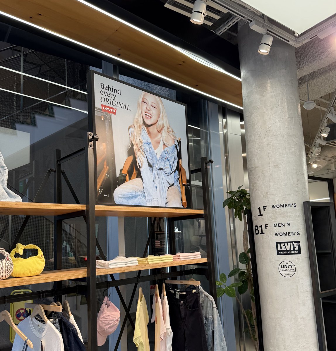 🐇244🧢 🏁 tweet media