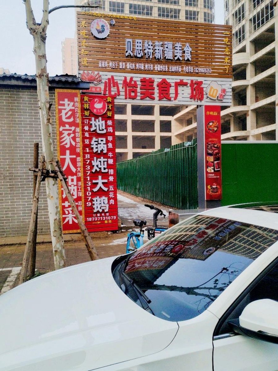 Elly Leuthold tweet media