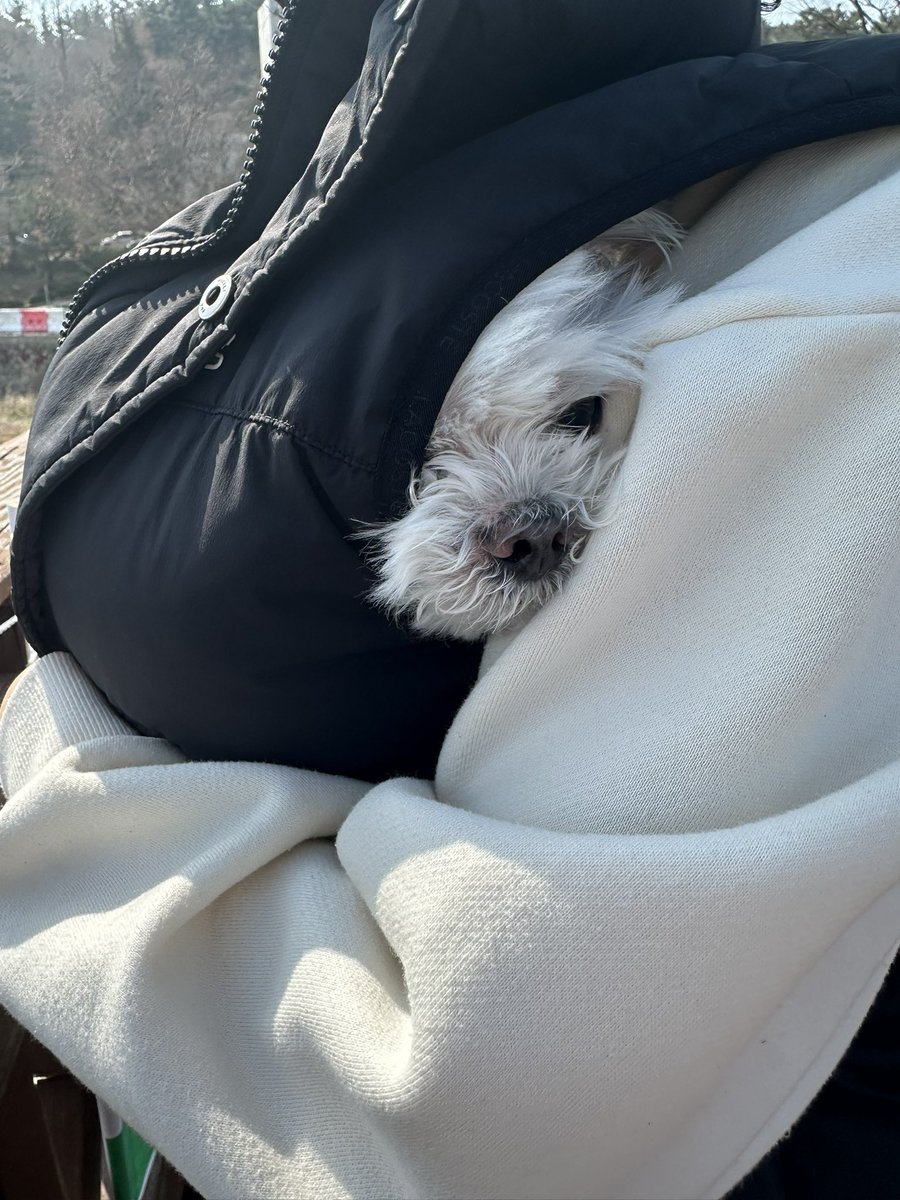 닁이버섯🎃🌈 tweet media