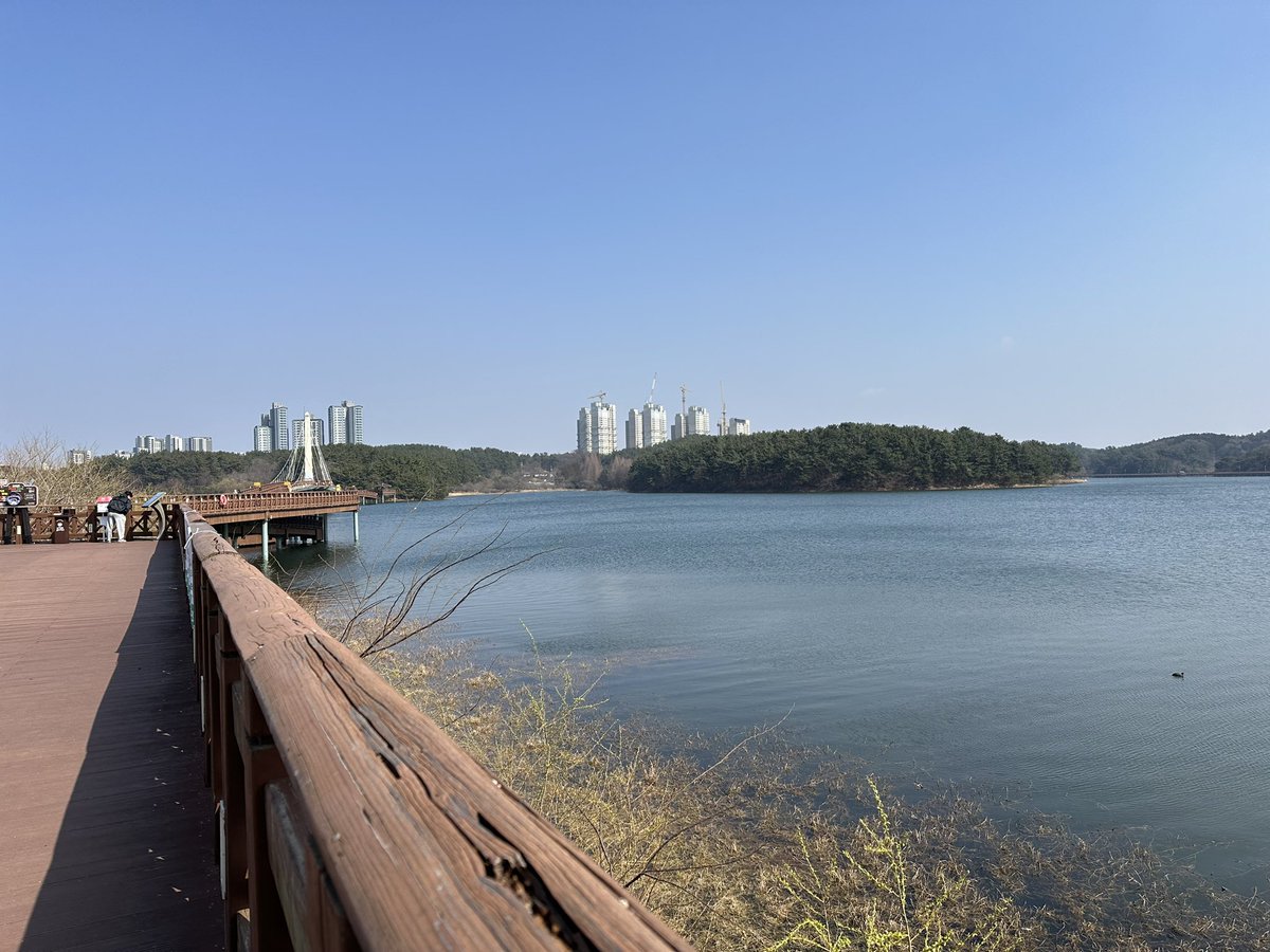 닁이버섯🎃🌈 tweet media