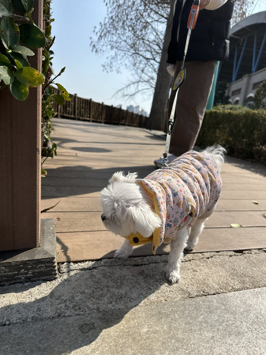 닁이버섯🎃🌈 tweet media