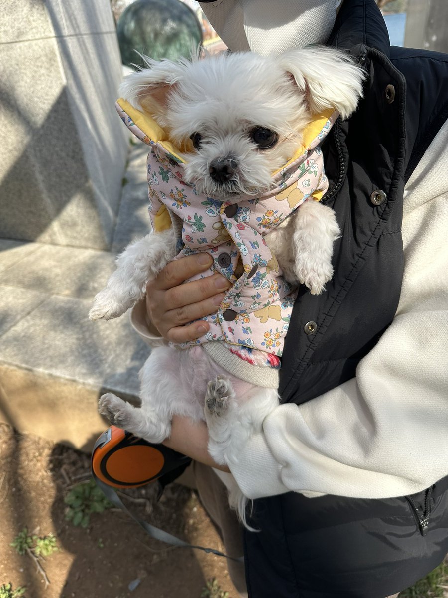 닁이버섯🎃🌈 tweet media