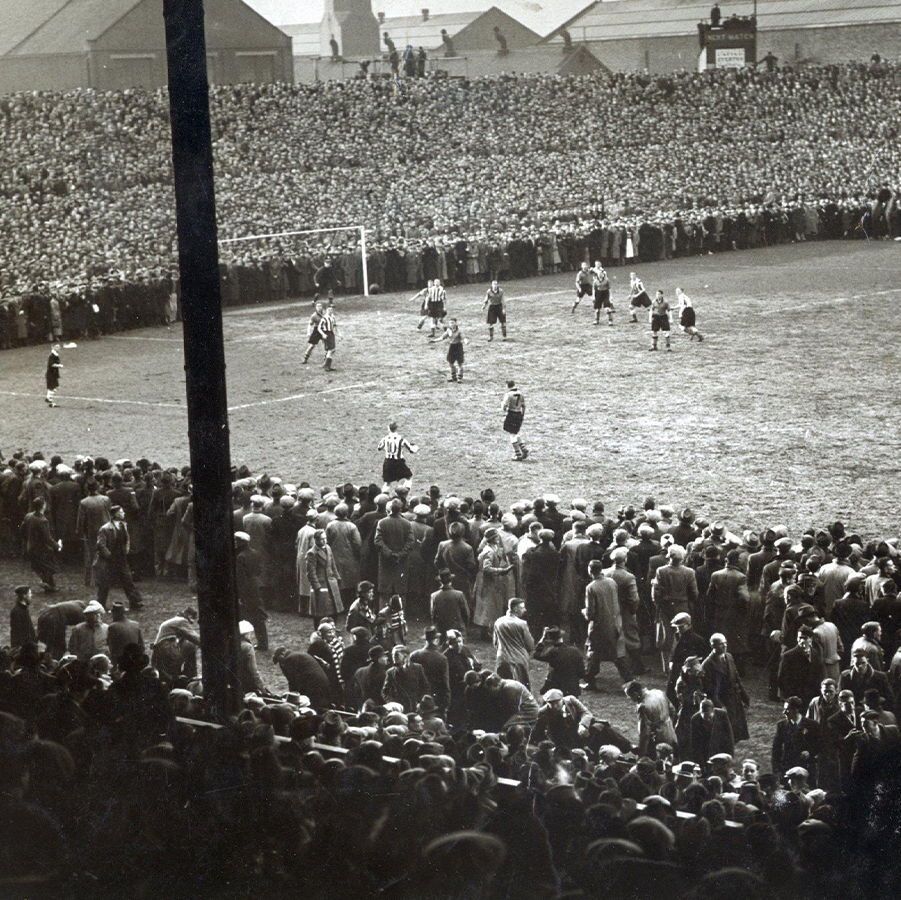 Talking Wolves tweet media