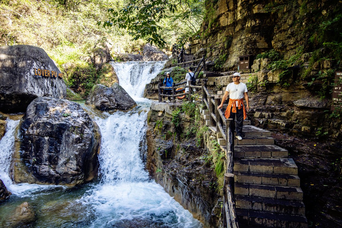 Lew fenton, Jr. tweet media