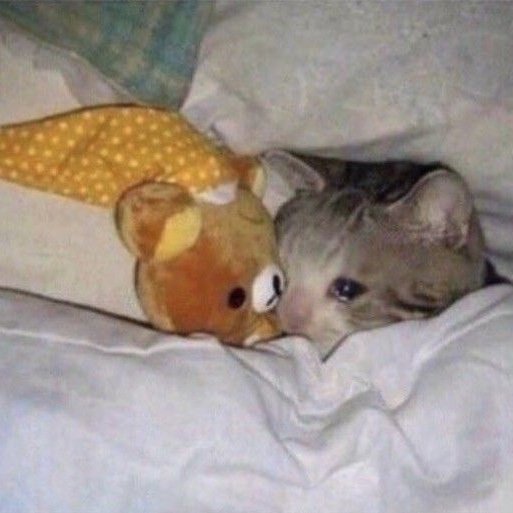 valeria. tweet media