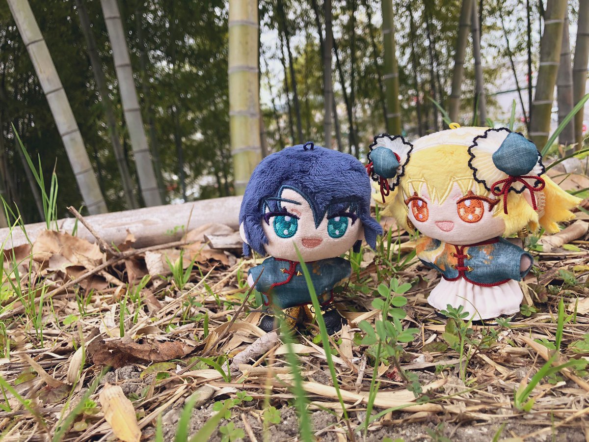 キーラ🪡 tweet media