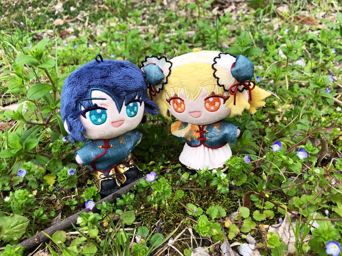 キーラ🪡 tweet media