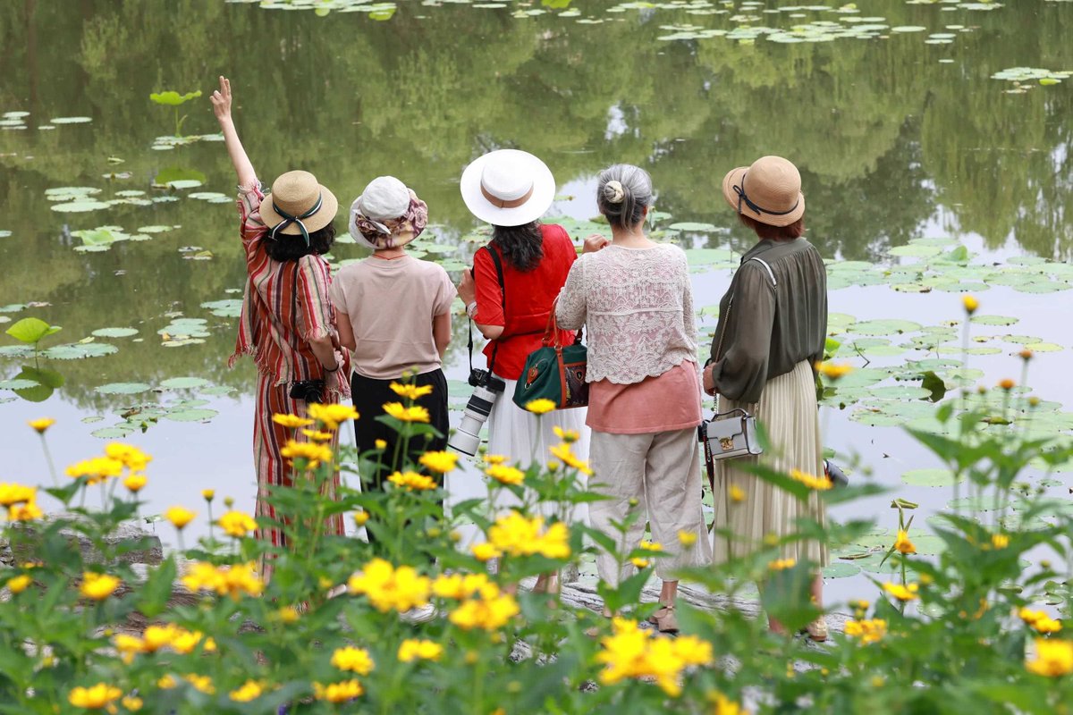 breast12345 tweet media