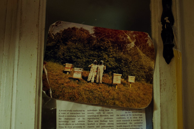 cinesthetic. tweet media