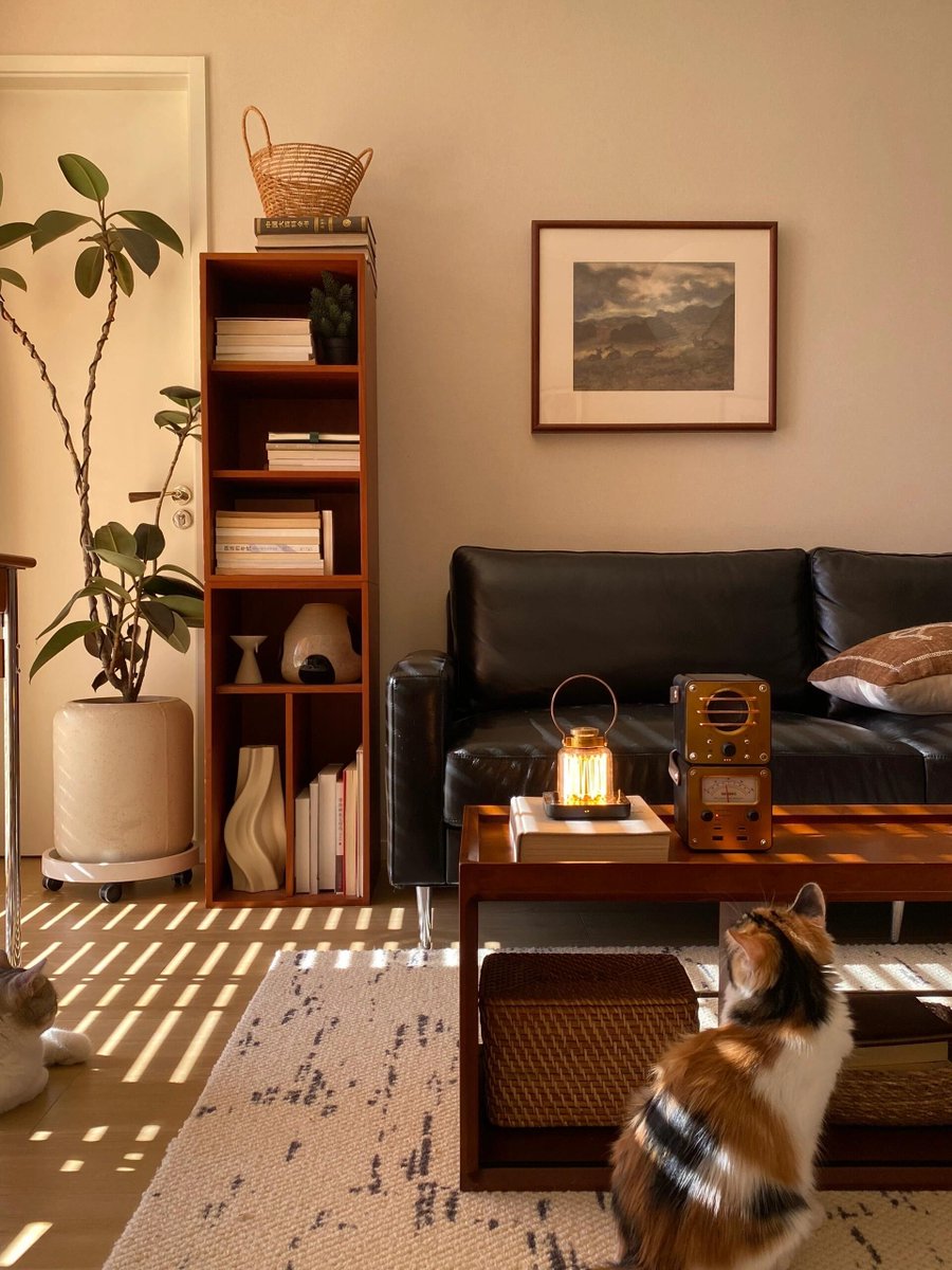 Rob Brouwer tweet media