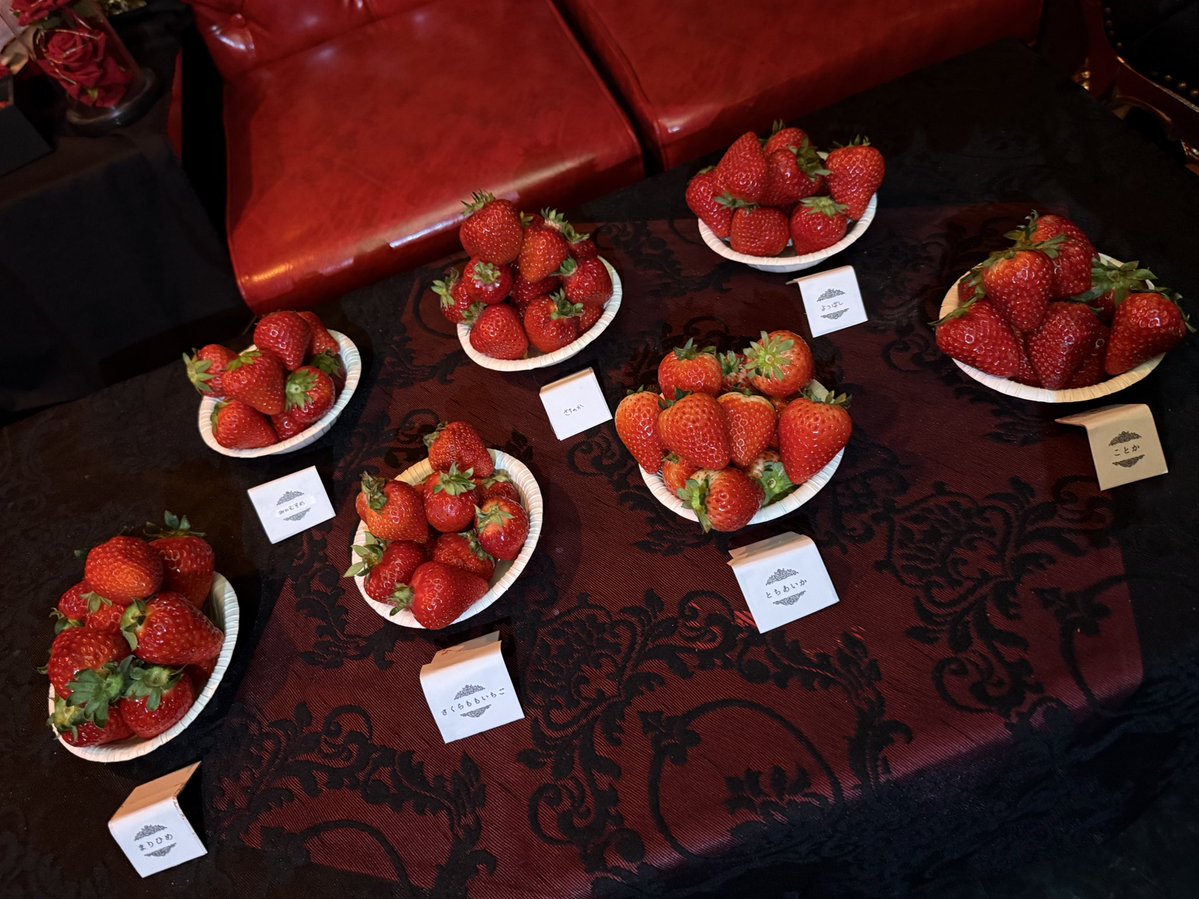 𝓚𝓾𝓭𝓵𝓪𝓴⟬ｸﾄﾞﾗｸ様⟭ 🜁🪽5/31 tweet media