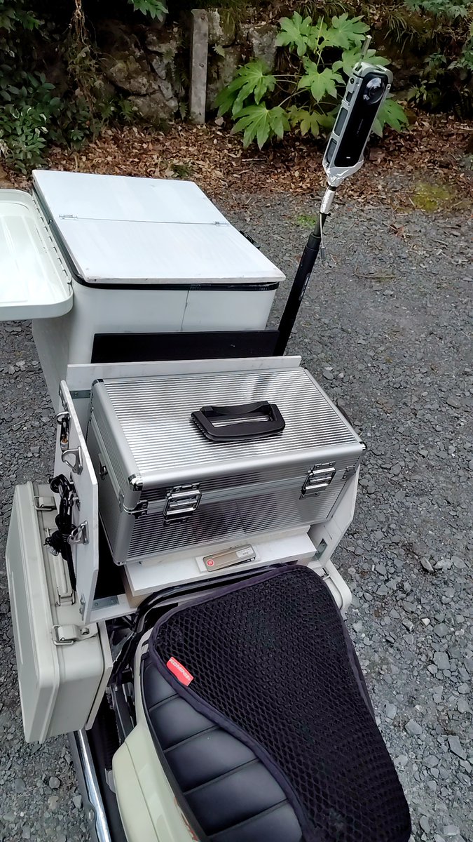 tasuke_JP🦍 💎 tweet media