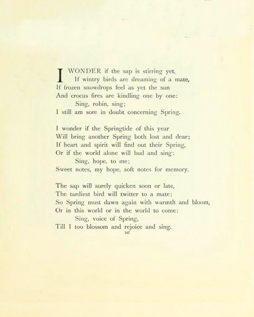 𝓢𝓪𝓻𝓪 tweet media