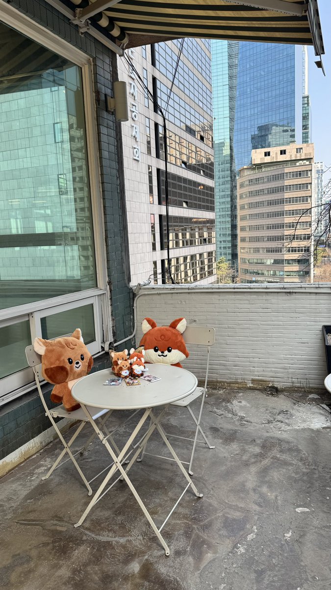 shan (๑• ᴗ •๑)⭑ tweet media