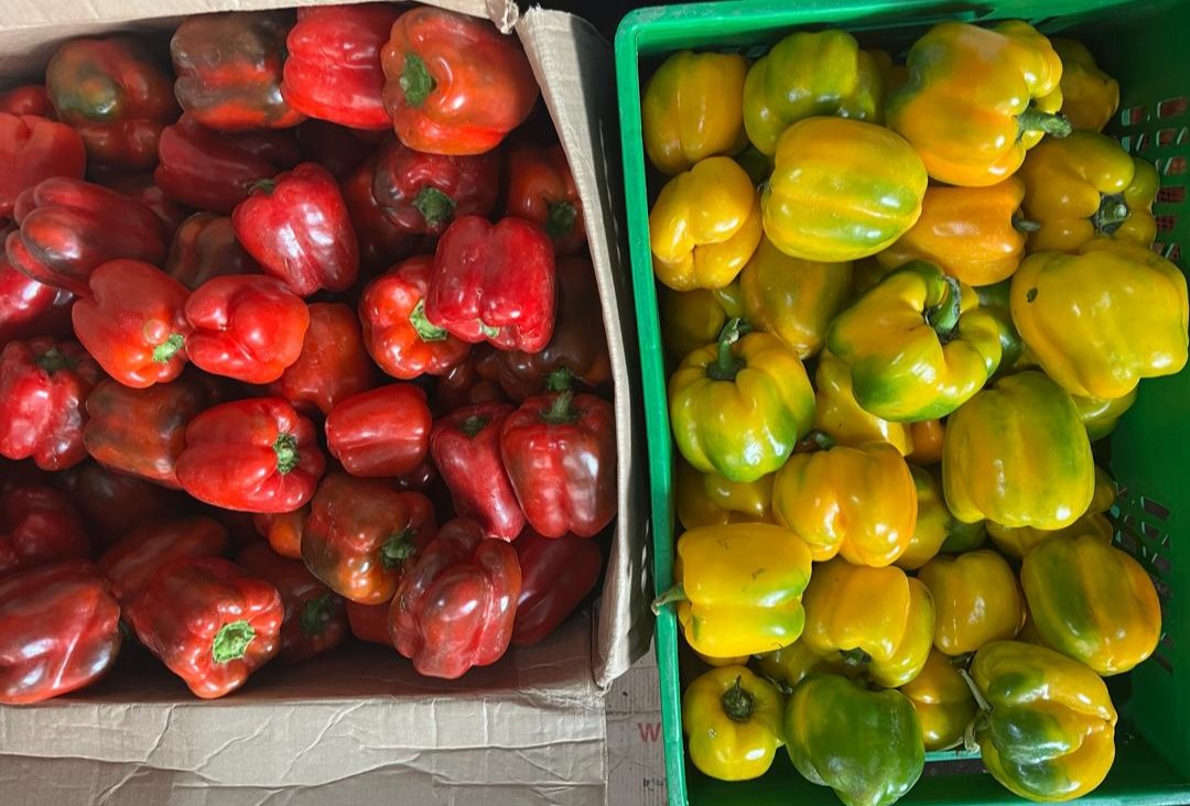 DorothNengai tweet media