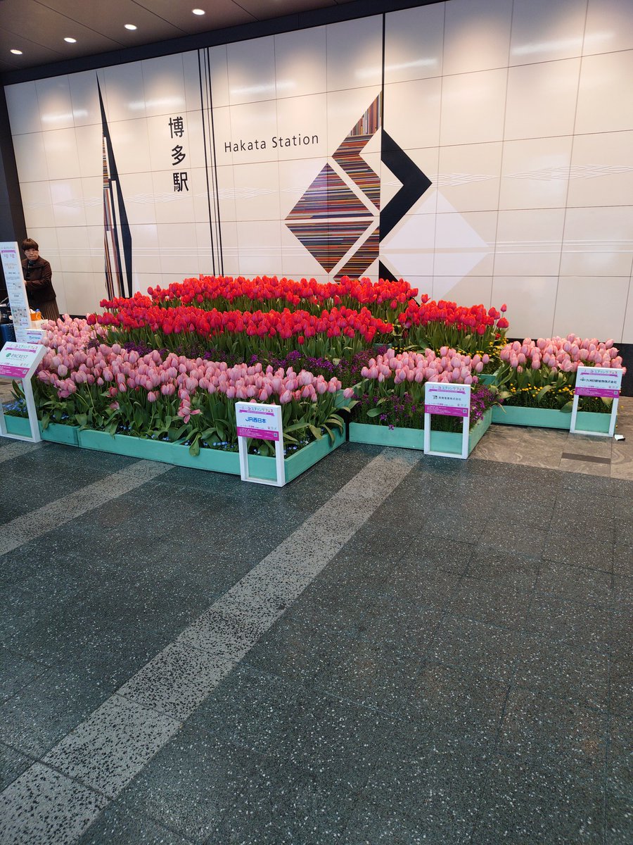 さいちゃまん♂😪 tweet media