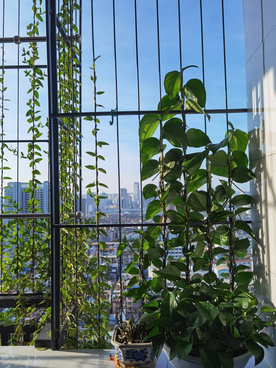 Boris Bogdanov tweet media