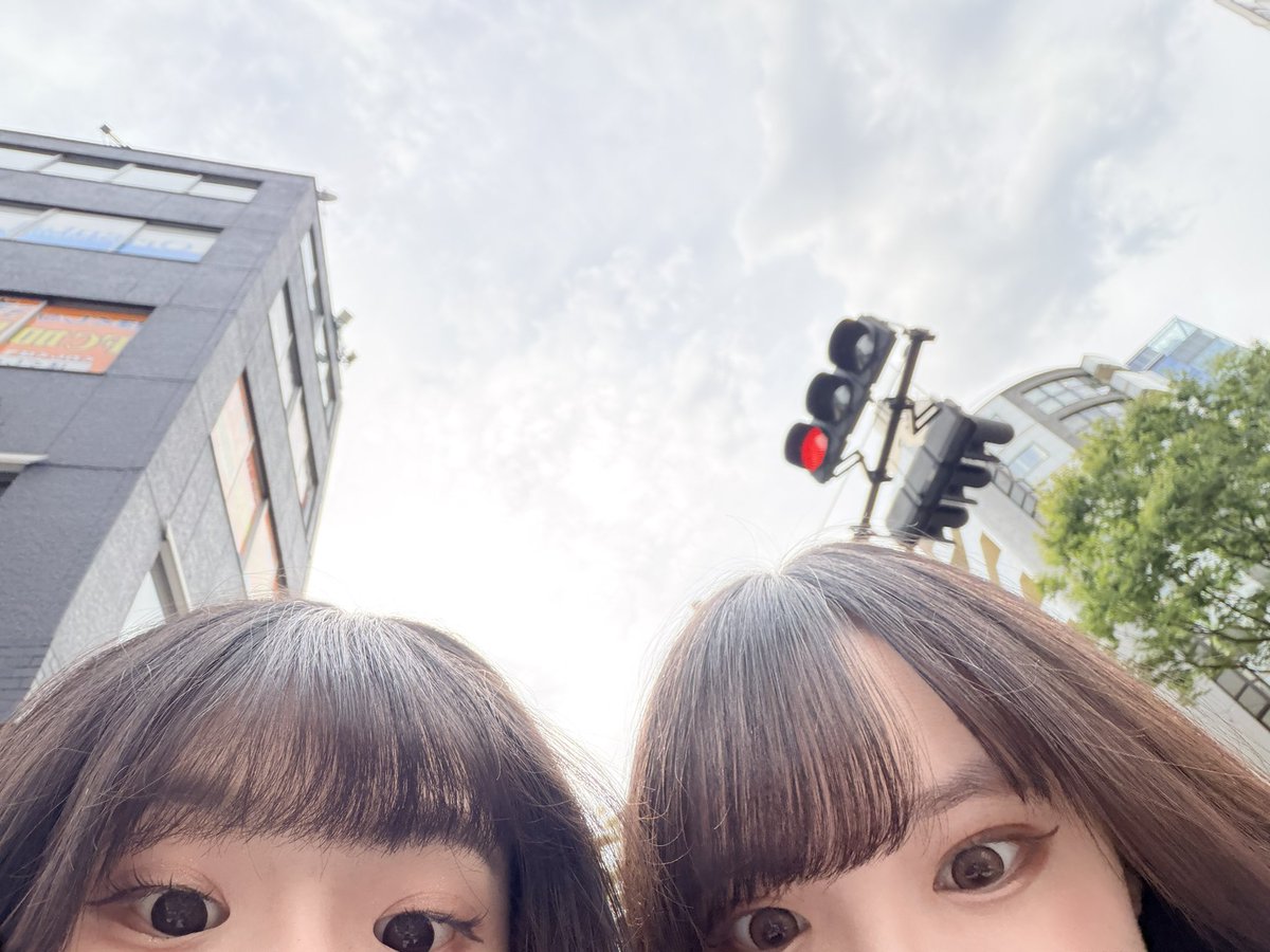ろく🐈 tweet media