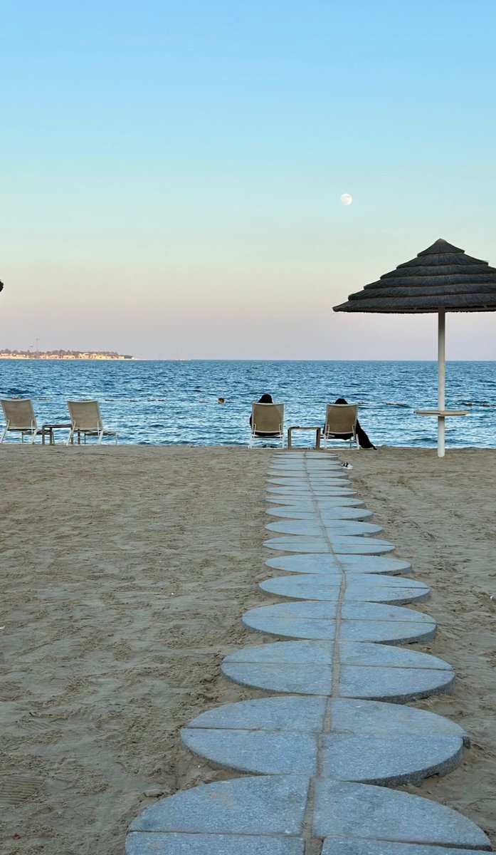 هــلا tweet media