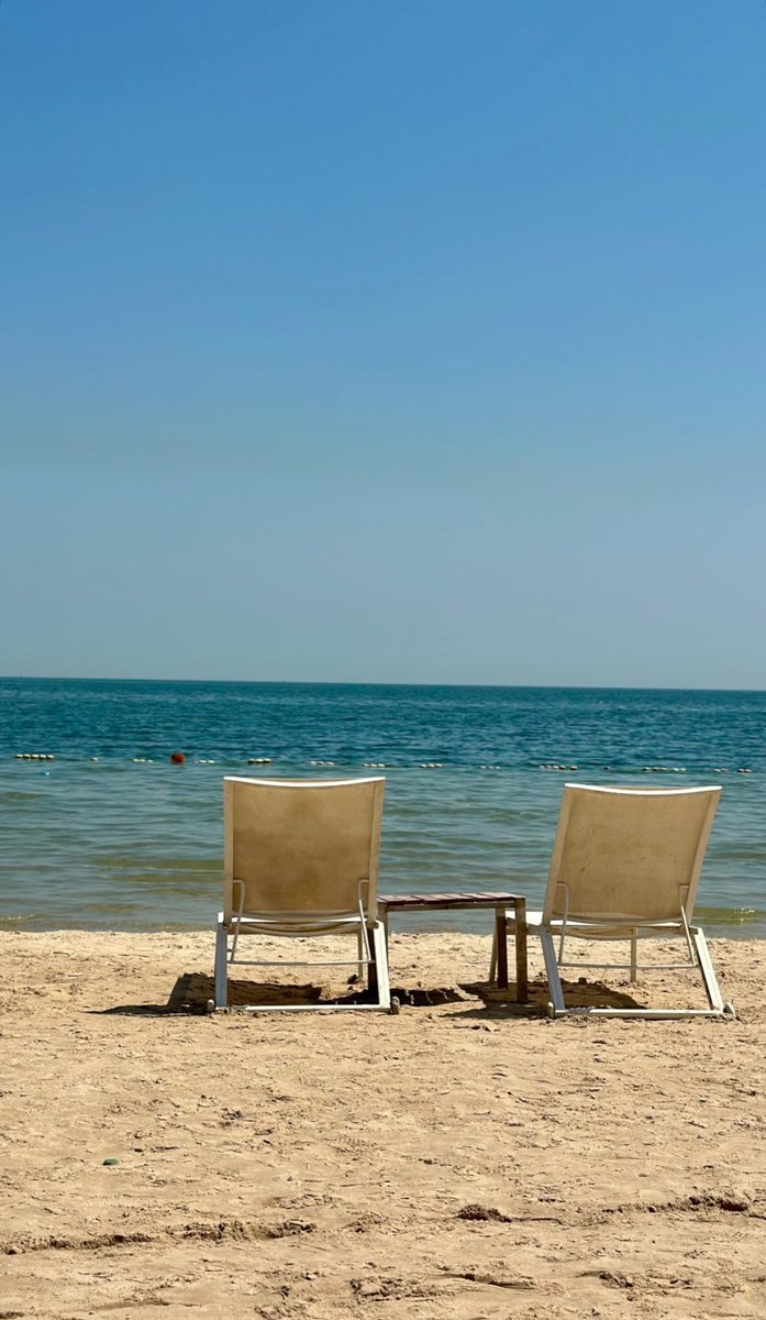 هــلا tweet media