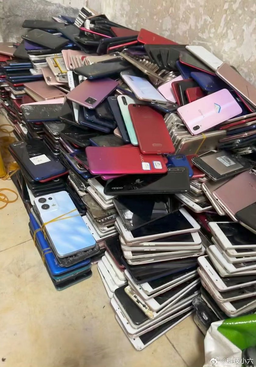 ki v i tweet media