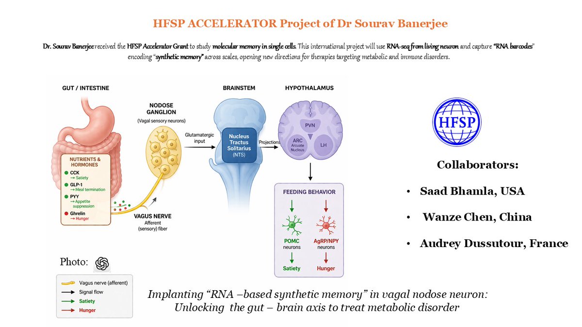BRIC-NBRC tweet media