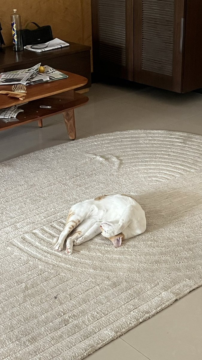 Rinkesh Gorasia tweet media